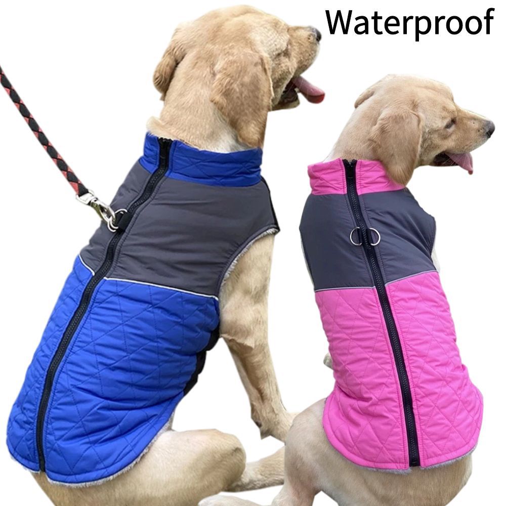 Hundejacke für Herbst & Winter – Warm, Wind- und Regenfest mit praktischem Leinenring
