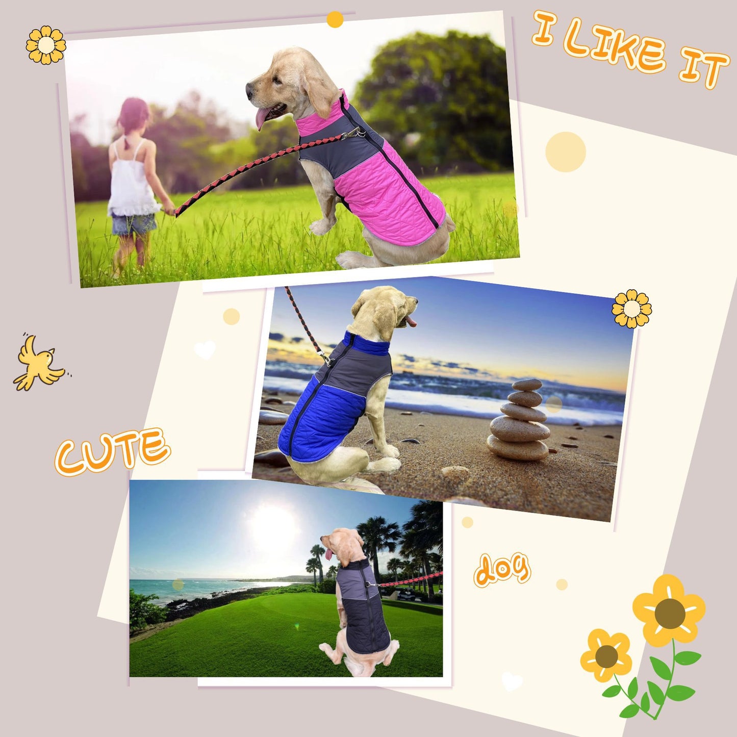 Hundejacke für Herbst & Winter – Warm, Wind- und Regenfest mit praktischem Leinenring