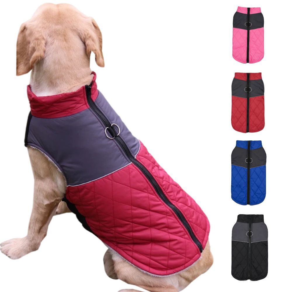 Hundejacke für Herbst & Winter – Warm, Wind- und Regenfest mit praktischem Leinenring