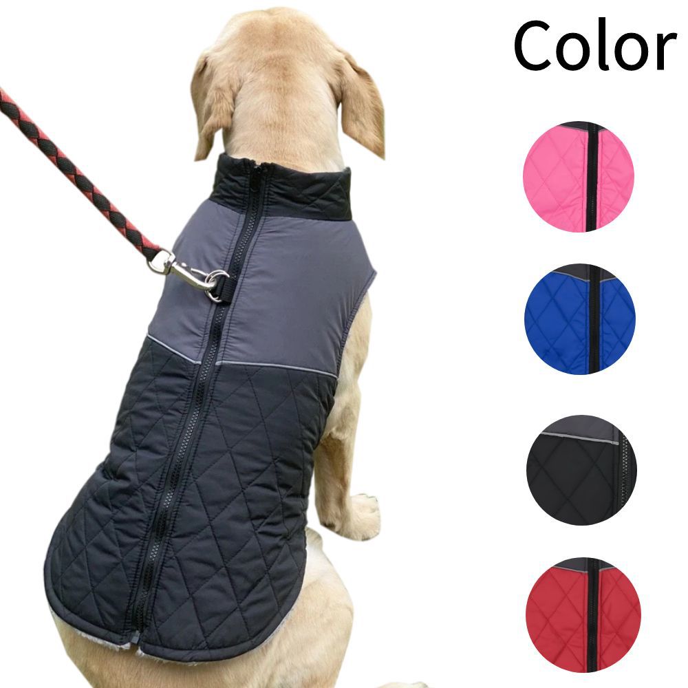 Hundejacke für Herbst & Winter – Warm, Wind- und Regenfest mit praktischem Leinenring